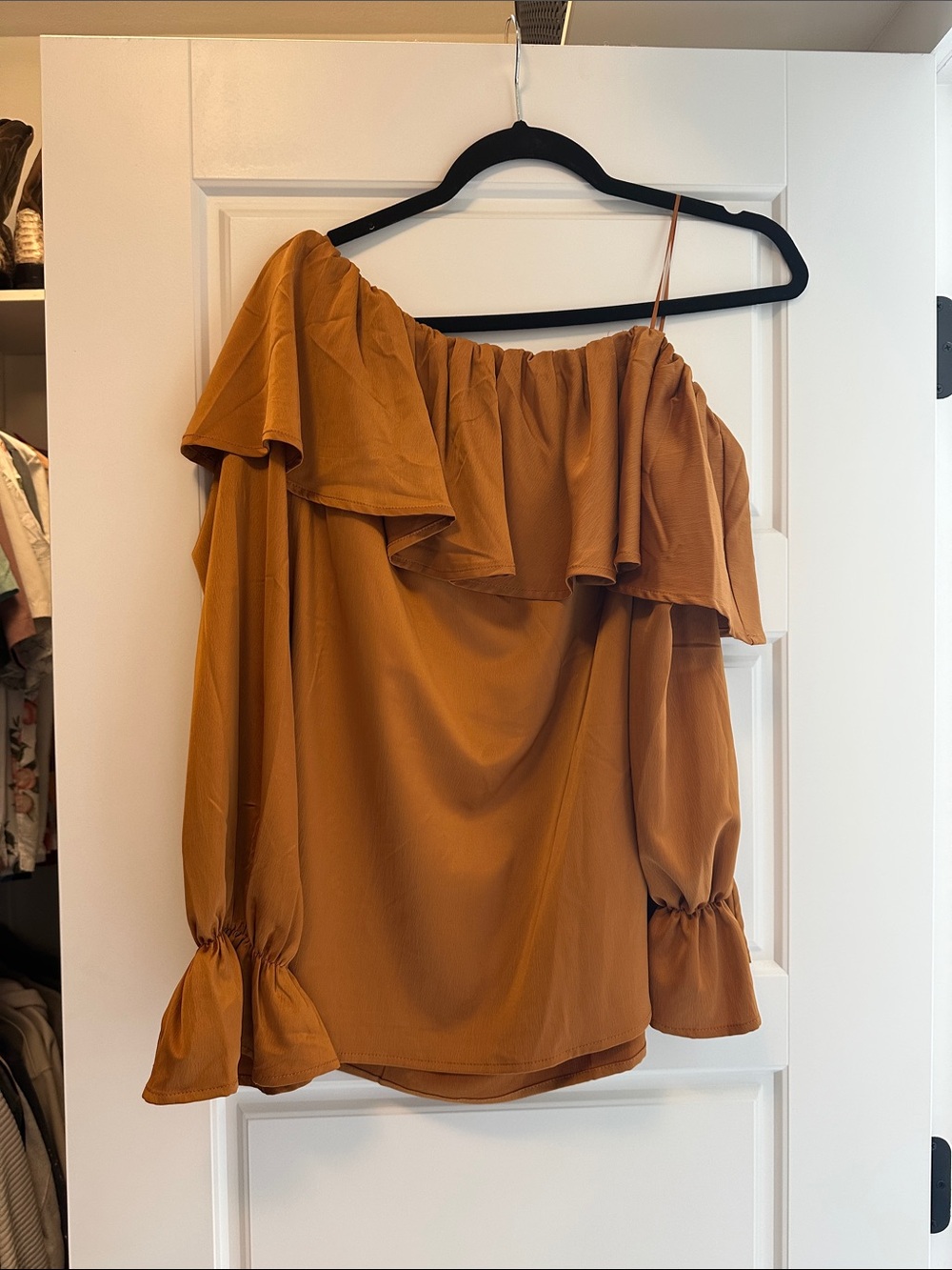 Impressions One-Shoulder Ruffle Blouse in Rust
